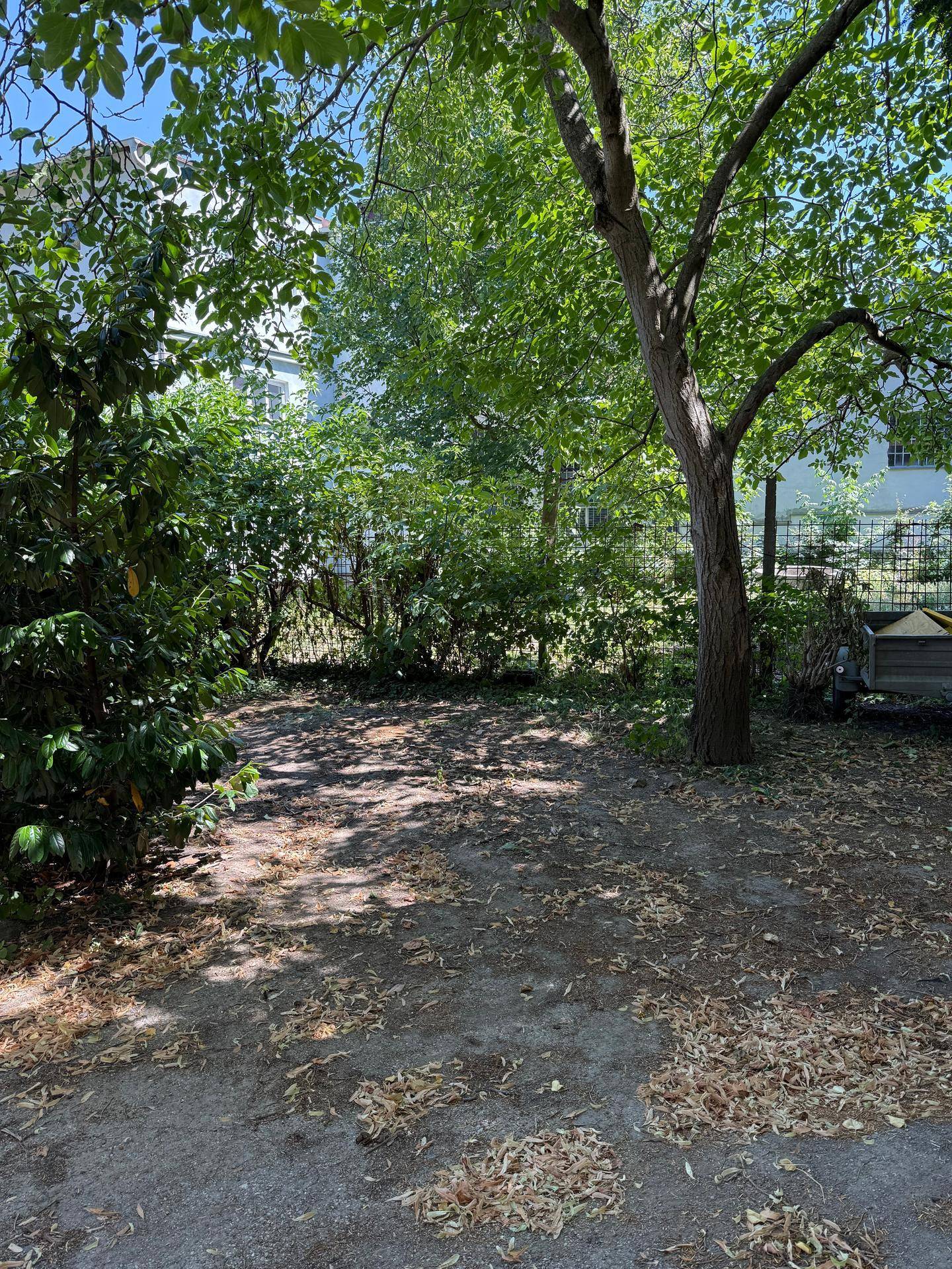 Naturbelassener Gartenbereich mit Bäumen und viel Grün.