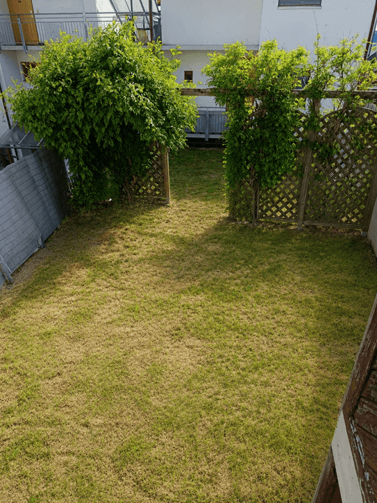 Kleiner, gepflegter Gartenbereich mit Rasenfläche und Holzzaun, ideal für Entspannung im Freien.