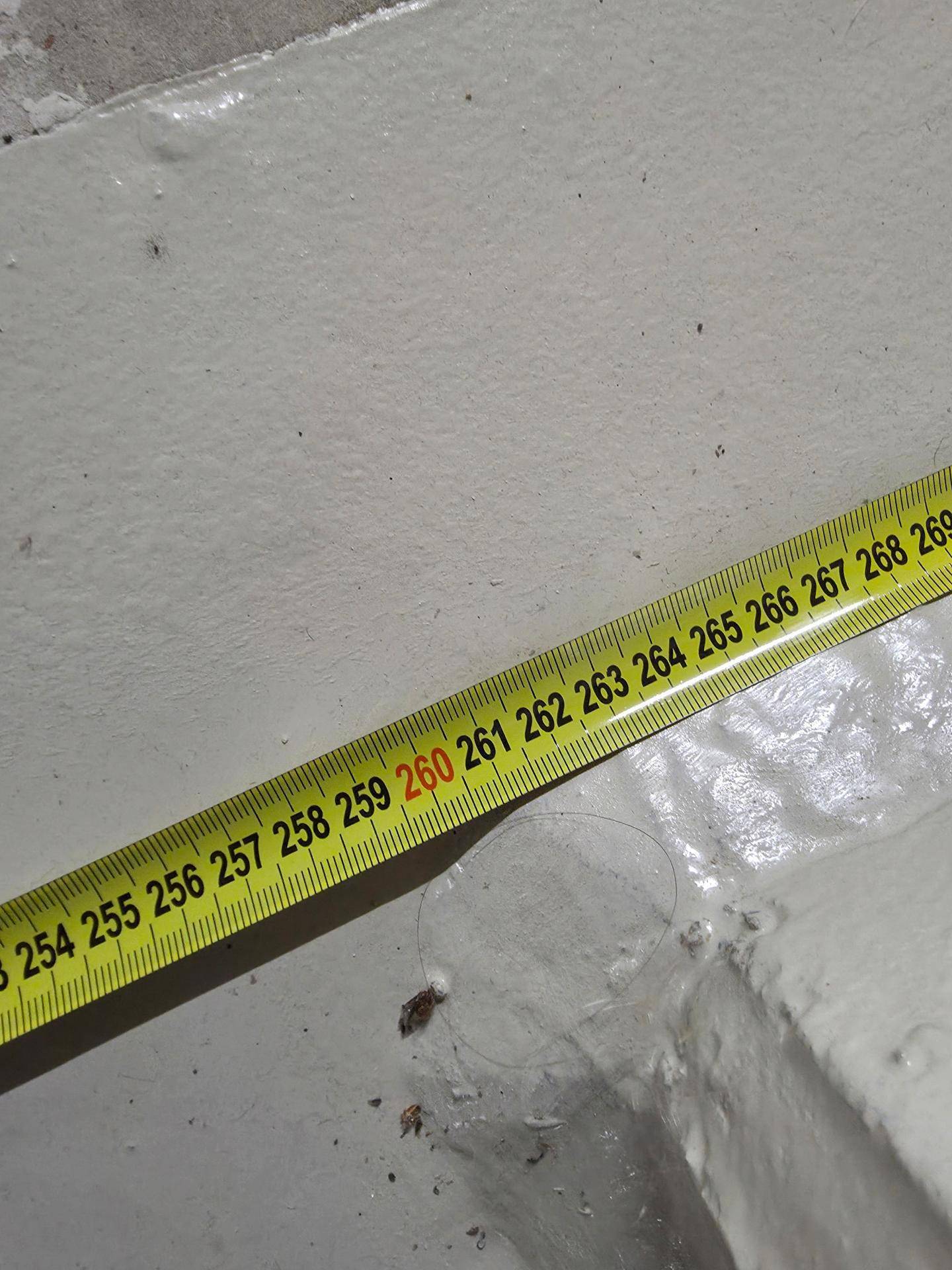 Slide 8