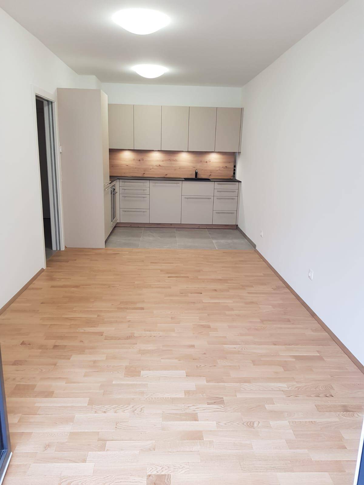 Offener Wohn- und Essbereich mit integrierter Küche, Parkettboden und Zugang zum Außenbereich.