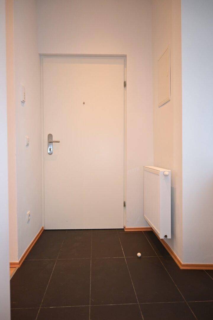 Eingangsbereich mit dunklen Fliesen, weißer Eingangstür und Heizkörper an der Wand.