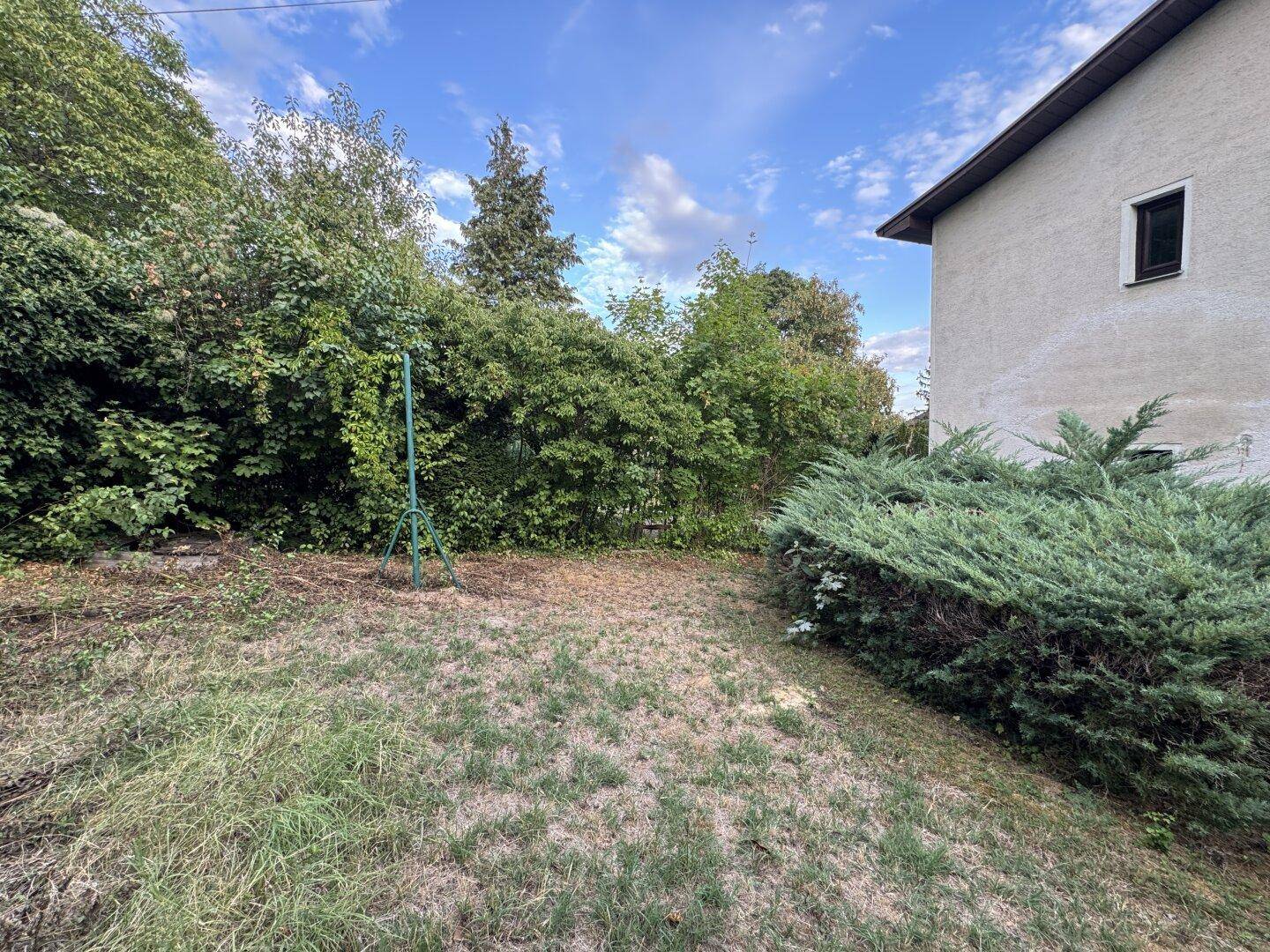 Großer Gartenbereich mit Rasenfläche und dichter Bepflanzung, umgeben von Bäumen.