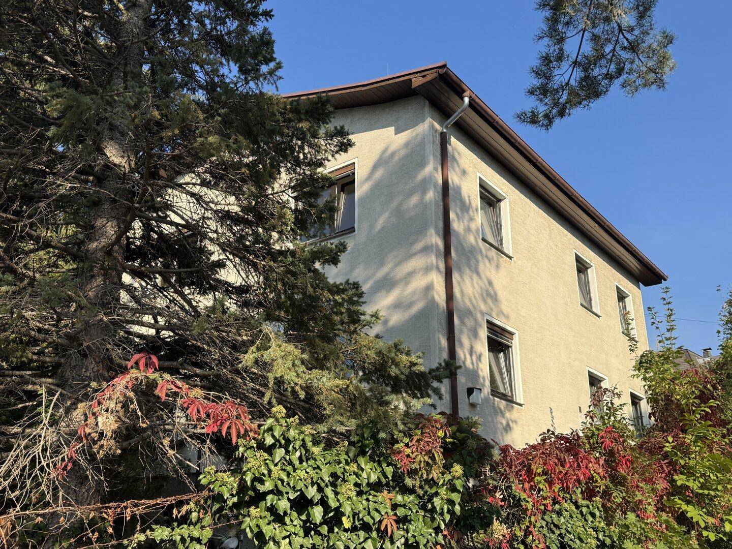Seitenansicht des Hauses mit üppiger Vegetation und Fenstern mit sichtbaren Rollläden.