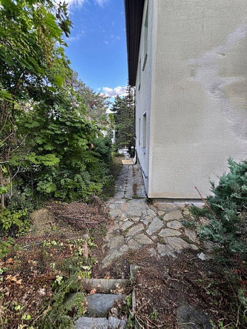 Schmaler Seitenweg am Haus entlang, umgeben von dichter Vegetation und Bäumen.