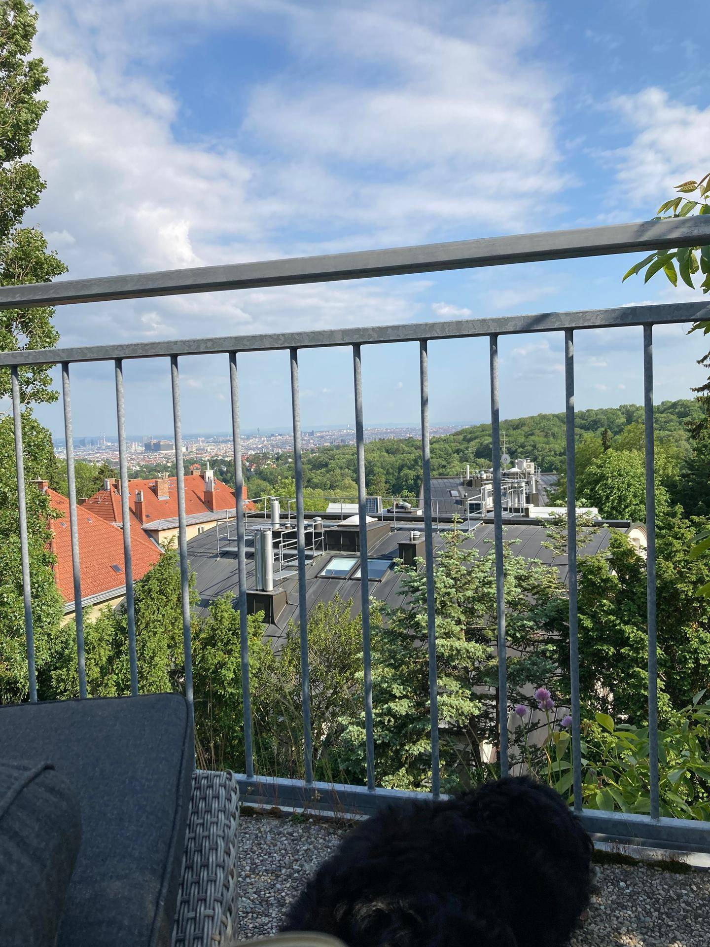 Sonniger Balkon mit Metallgeländer und Panoramablick über die Stadt und grüne Umgebung.