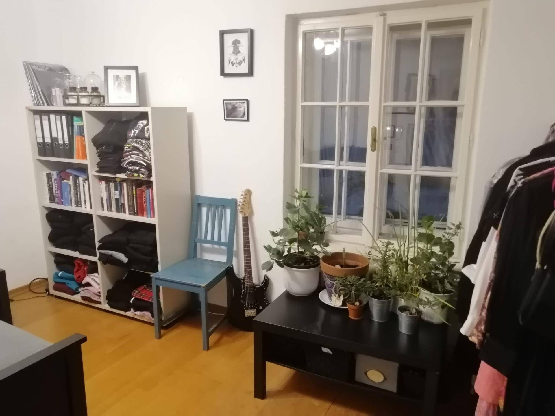 Gemütlicher Bereich mit Bücherregal, Fenster und verschiedenen Pflanzen, schafft eine angenehme Atmosphäre.