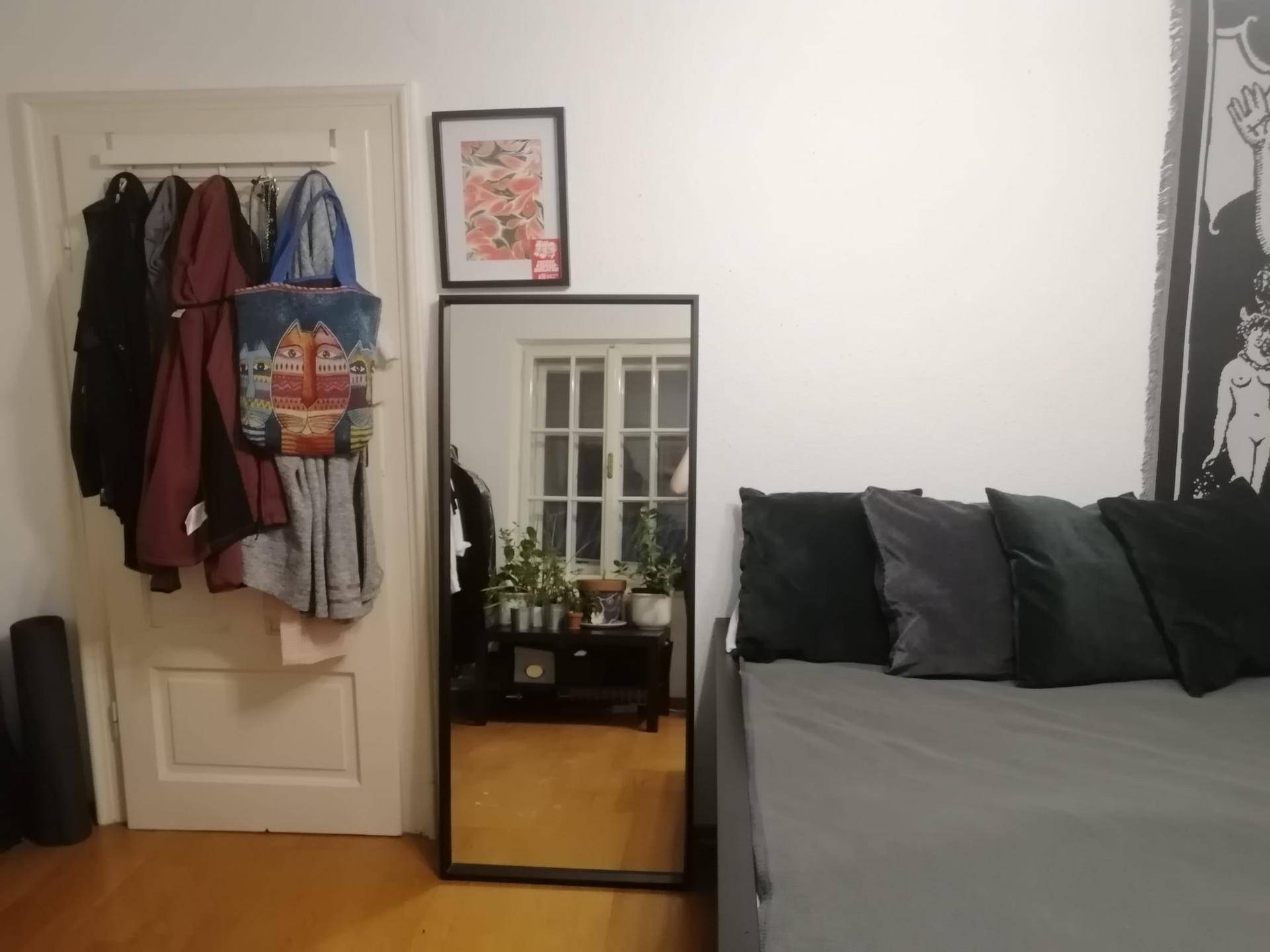 Schlafbereich mit einem großen Spiegel, einer Tür mit Kleiderhaken und einem bequemen Bett.