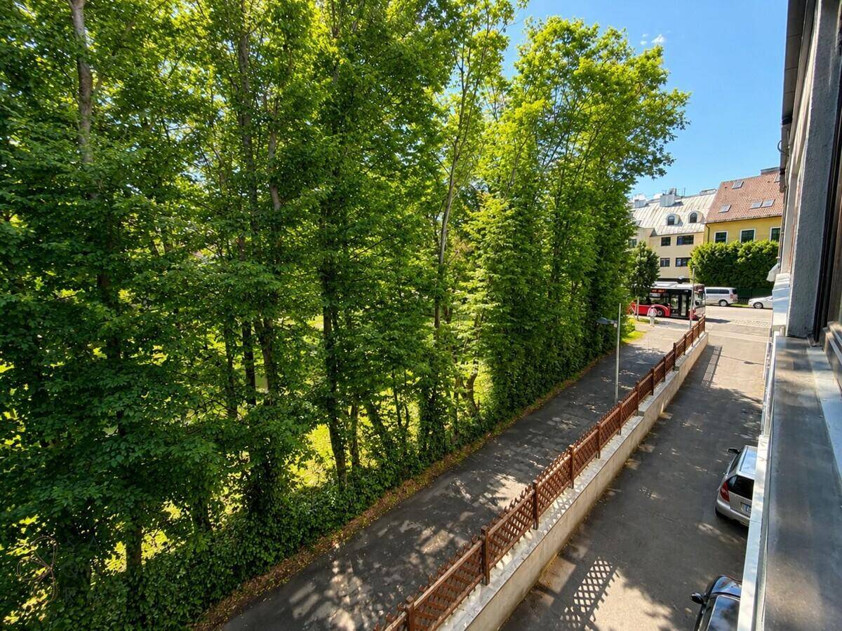 Blick von der Immobilie auf eine von Bäumen gesäumte Straße und umliegende Gebäude.