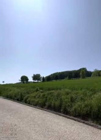 Idyllische Landstraße führt durch grüne Hügellandschaft mit Bäumen unter strahlend blauem Himmel.