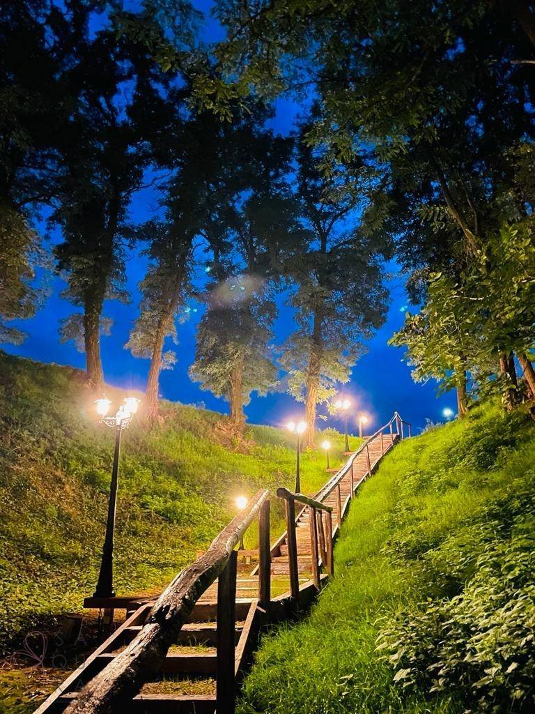 Beleuchteter Holztreppenweg führt durch eine grüne, bewaldete Landschaft bei Nacht.