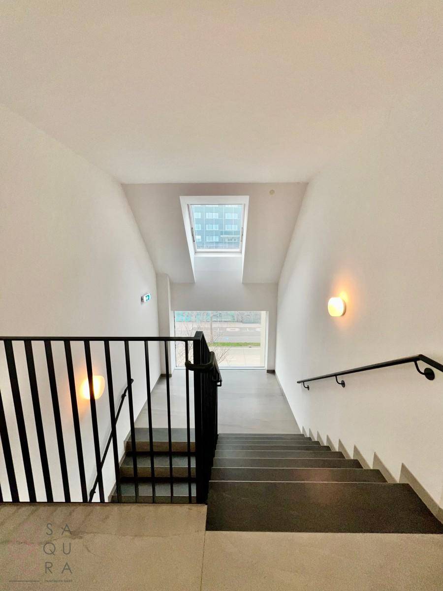 Modernes Treppenhaus mit dunklen Stufen und schwarzem Geländer, gut beleuchtet.