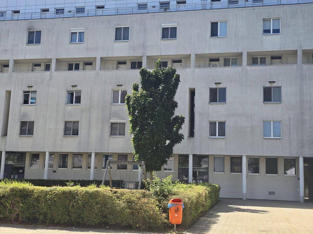 Gebäudefassade mit Innenhof, Baum und Schaukel, umgeben von gepflegten Hecken.