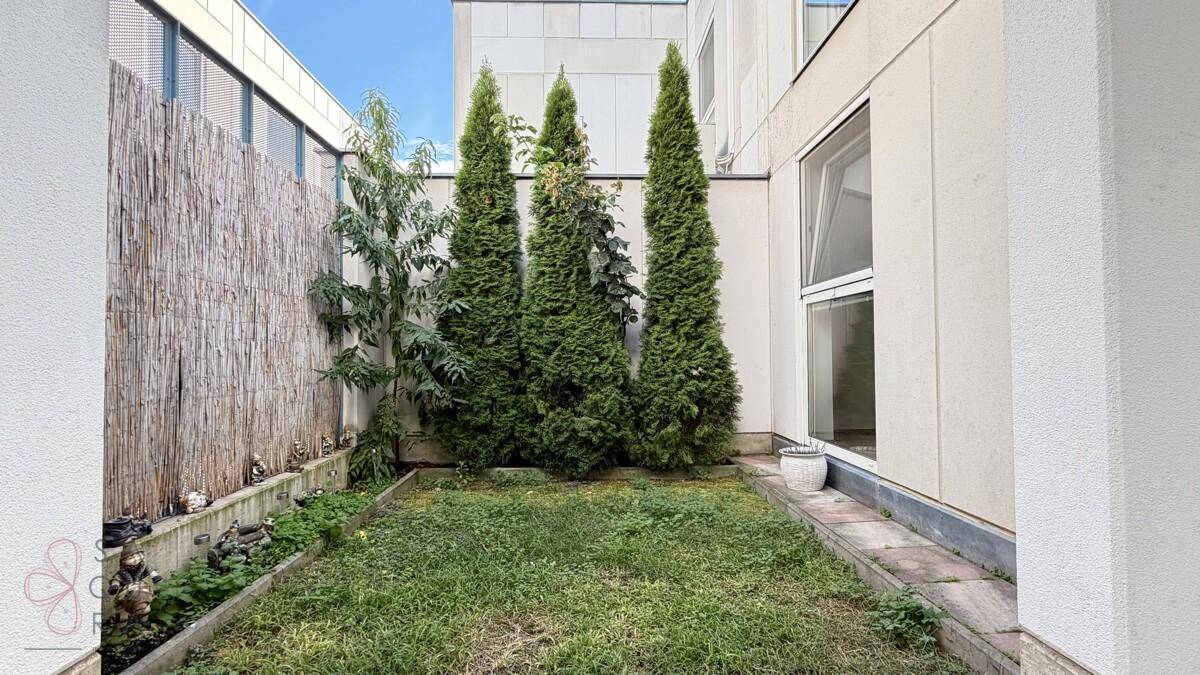 Kleiner, gepflegter Gartenbereich mit Rasenfläche, hohen Nadelbäumen und Bambuszaun.