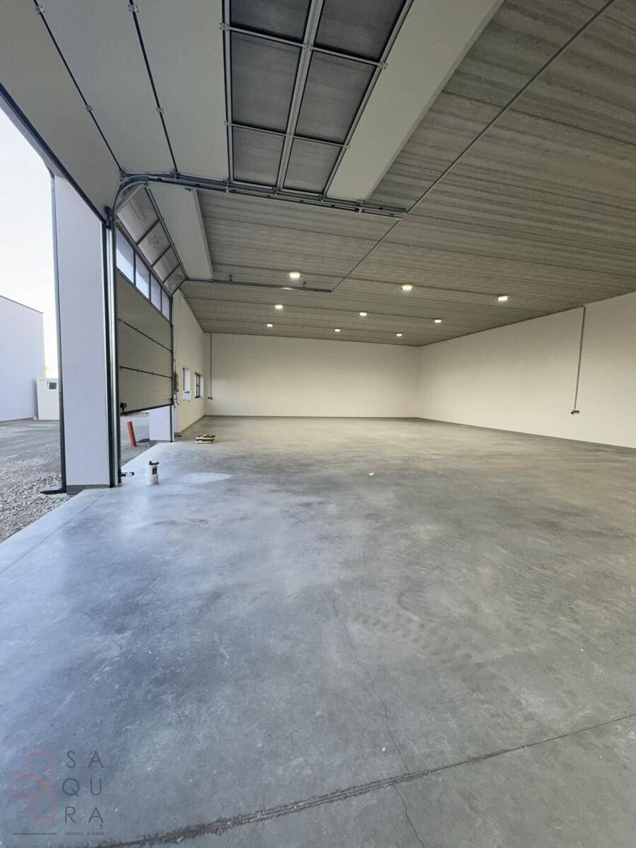 Geräumiger, unmöblierter Lagerraum mit Betonboden und hohen Decken, bereit zur Nutzung.