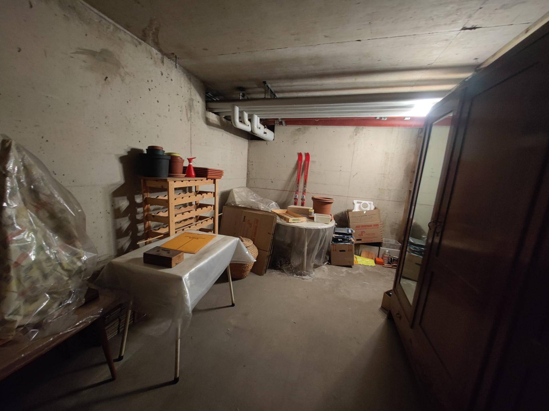 Geräumiger Kellerraum mit Betonwänden und Lagerregalen, ideal für zusätzlichen Stauraum.