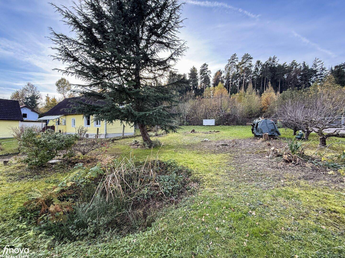 Großer Garten mit Rasenfläche, einem Haus und einem angrenzenden Waldgebiet im Hintergrund.
