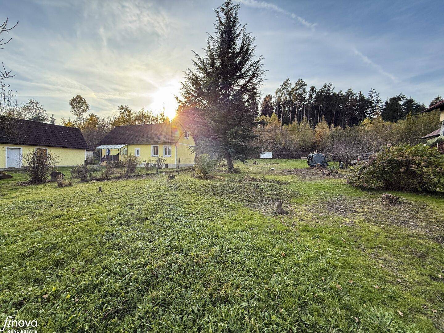Sonnendurchfluteter Gartenbereich mit Rasen, einem Haus und einem Waldrand im Hintergrund.
