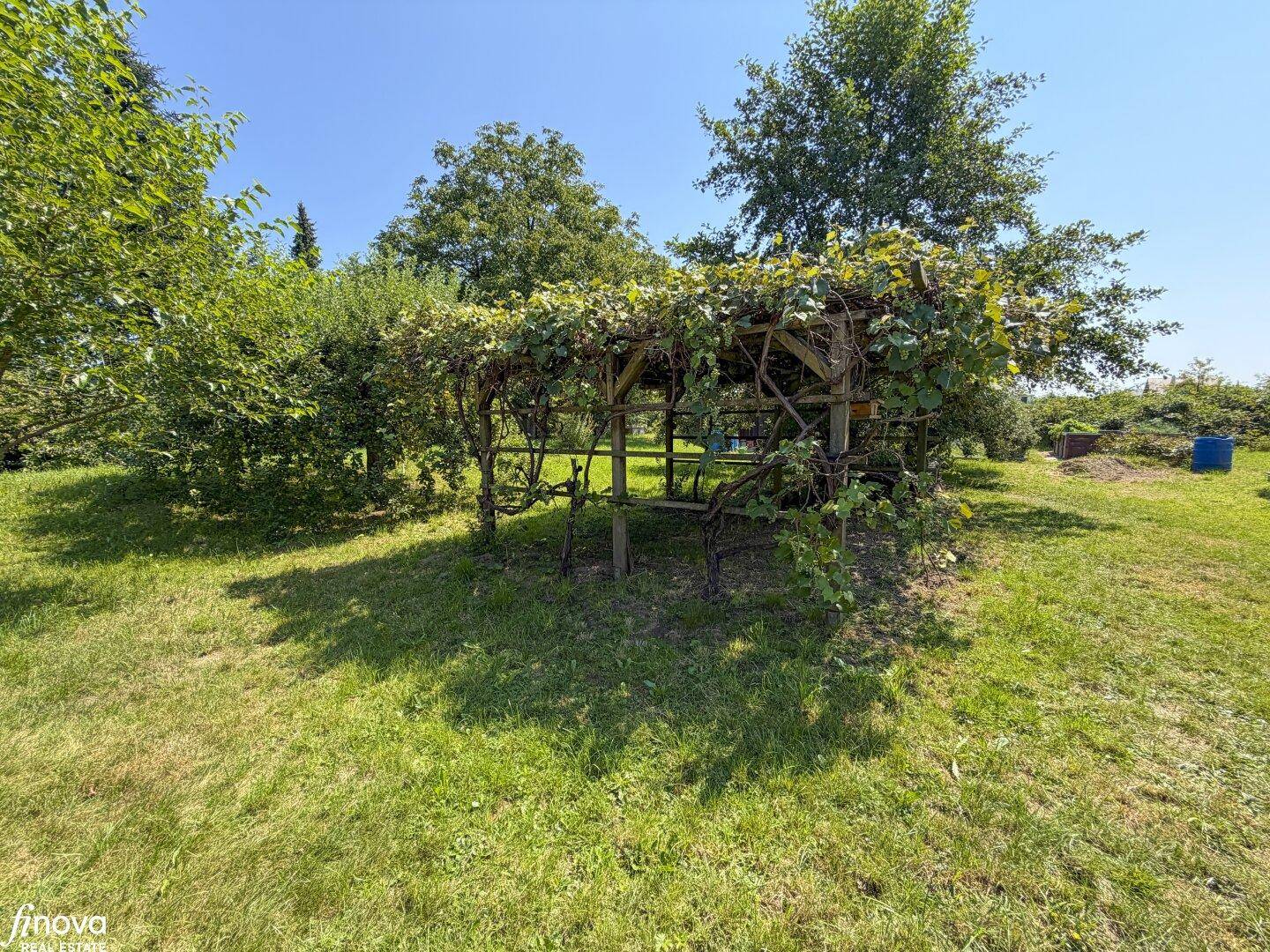 Weitläufiger Garten mit Rasenfläche und einer großen, bewachsenen Holzpergola.