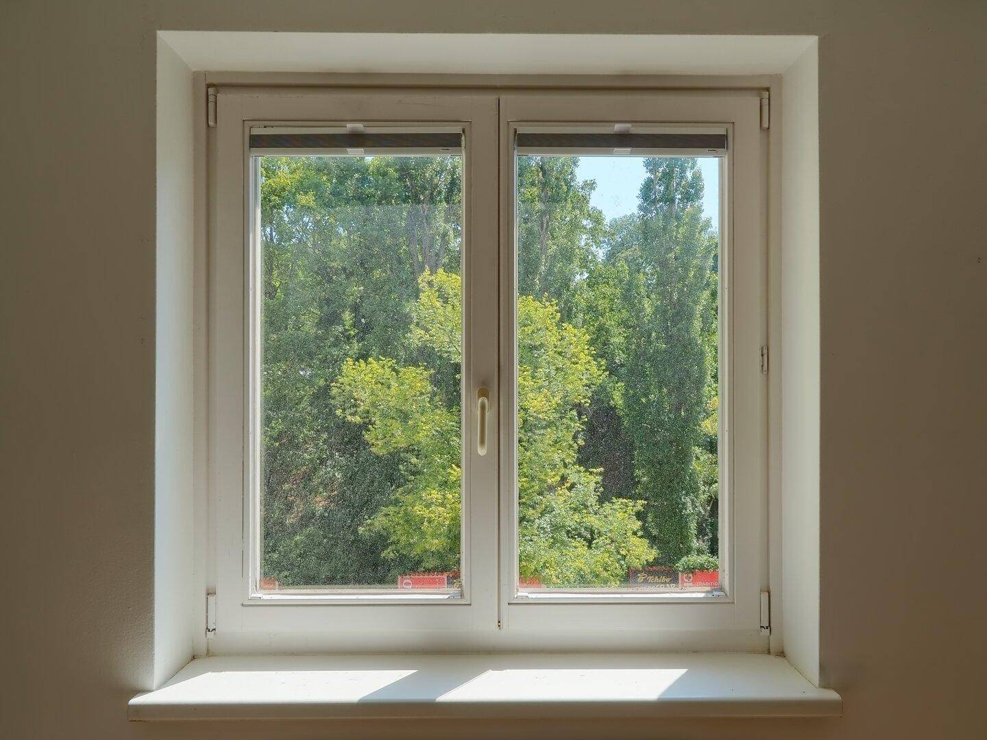 Fenster mit Blick ins Grüne, umgeben von üppigen Bäumen und natürlichem Licht.