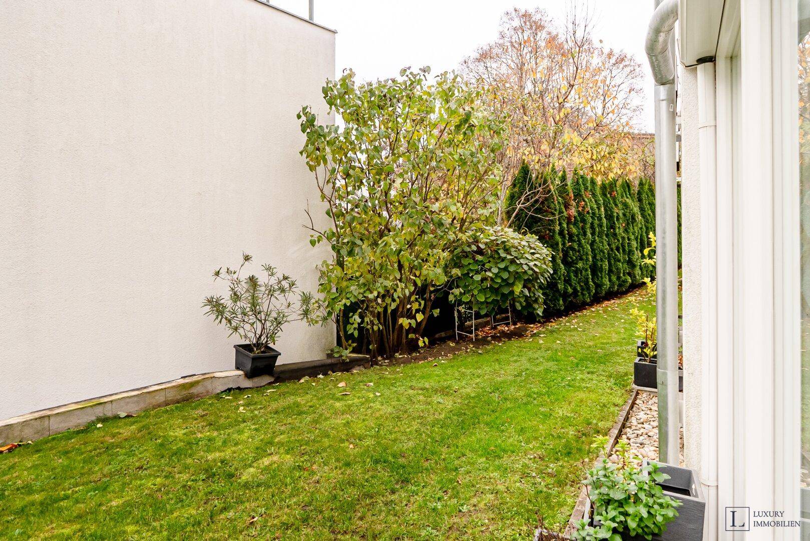 Gepflegter Garten mit Rasen, Sträuchern und einer hohen Hecke, die Privatsphäre bietet.