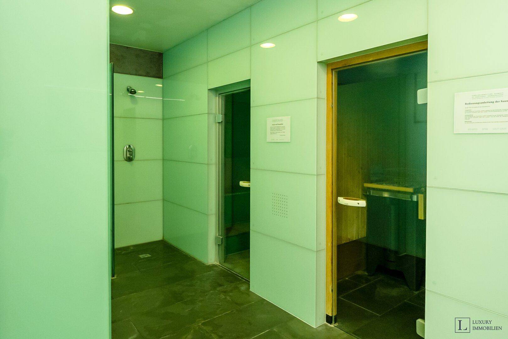Moderner Wellnessbereich mit Dusche und Zugang zu Sauna oder Dampfbad.