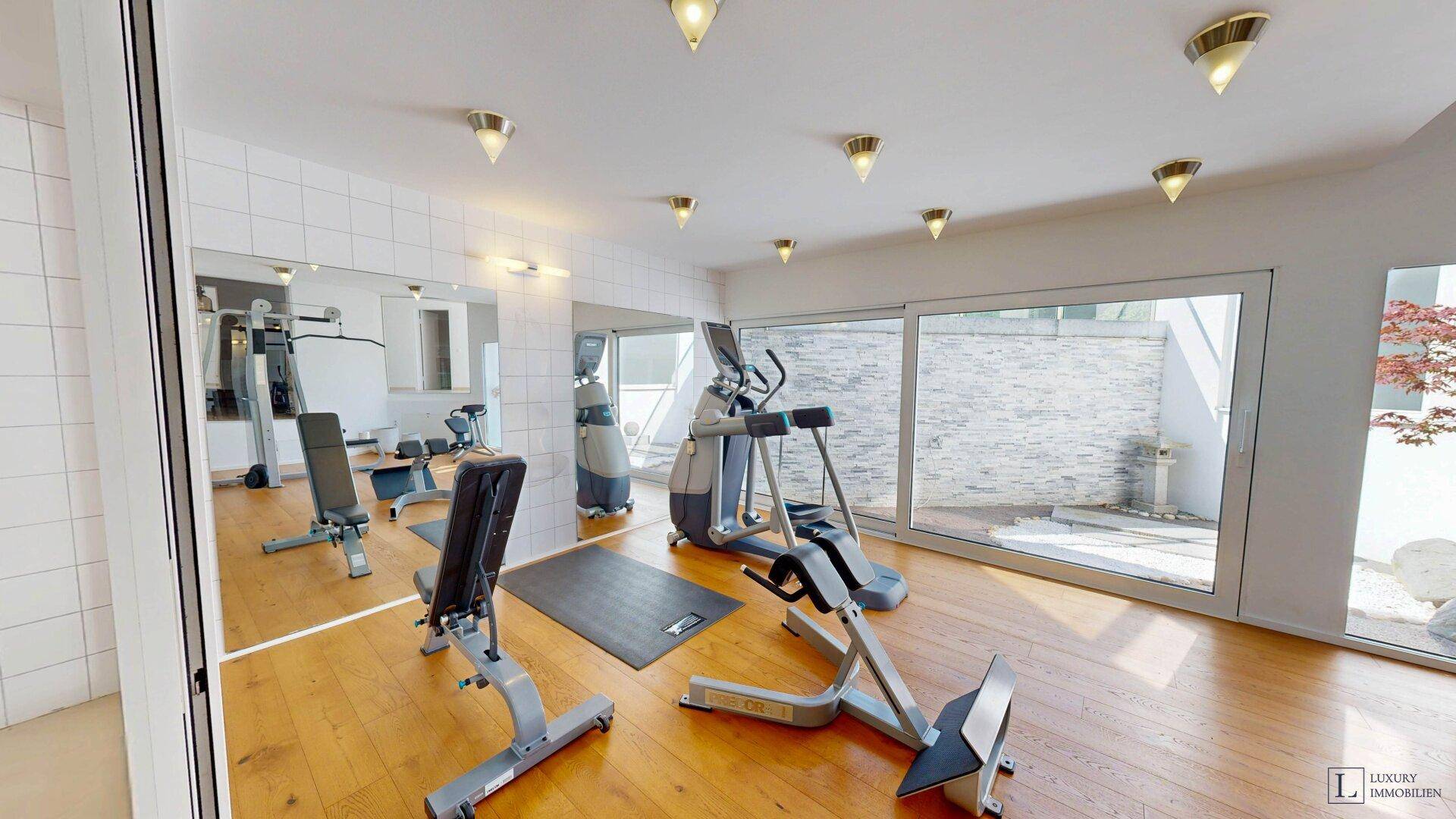 Privater Fitnessraum mit verschiedenen Trainingsgeräten und großen Fenstern zum Außenbereich.