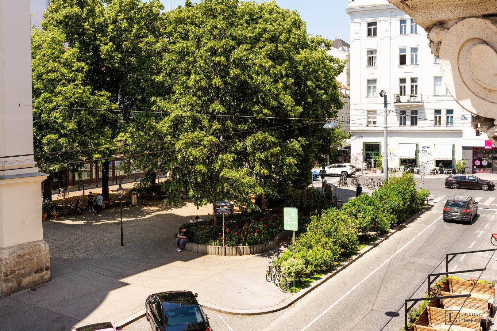 Blick auf einen belebten Stadtplatz mit großen Bäumen, parkenden Autos und umliegenden Gebäuden.