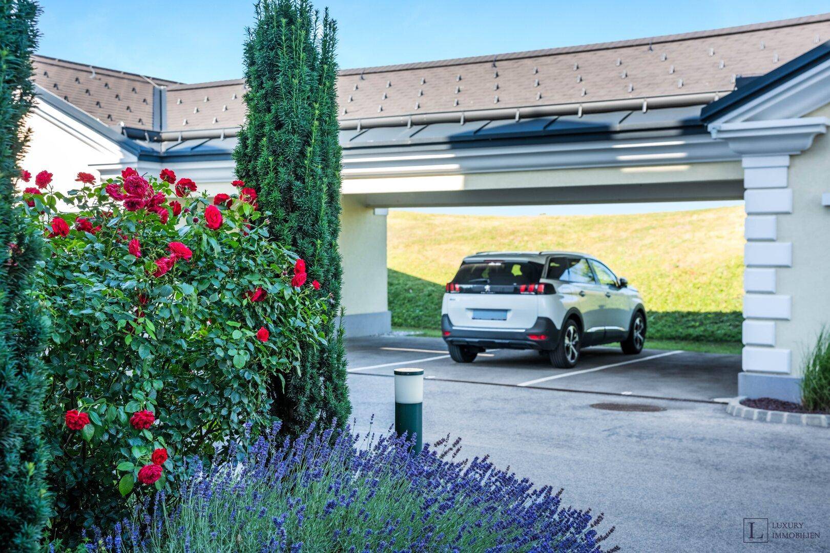 Überdachter Parkplatzbereich mit gepflegter Bepflanzung und Rosenbüschen vor dem Gebäude.