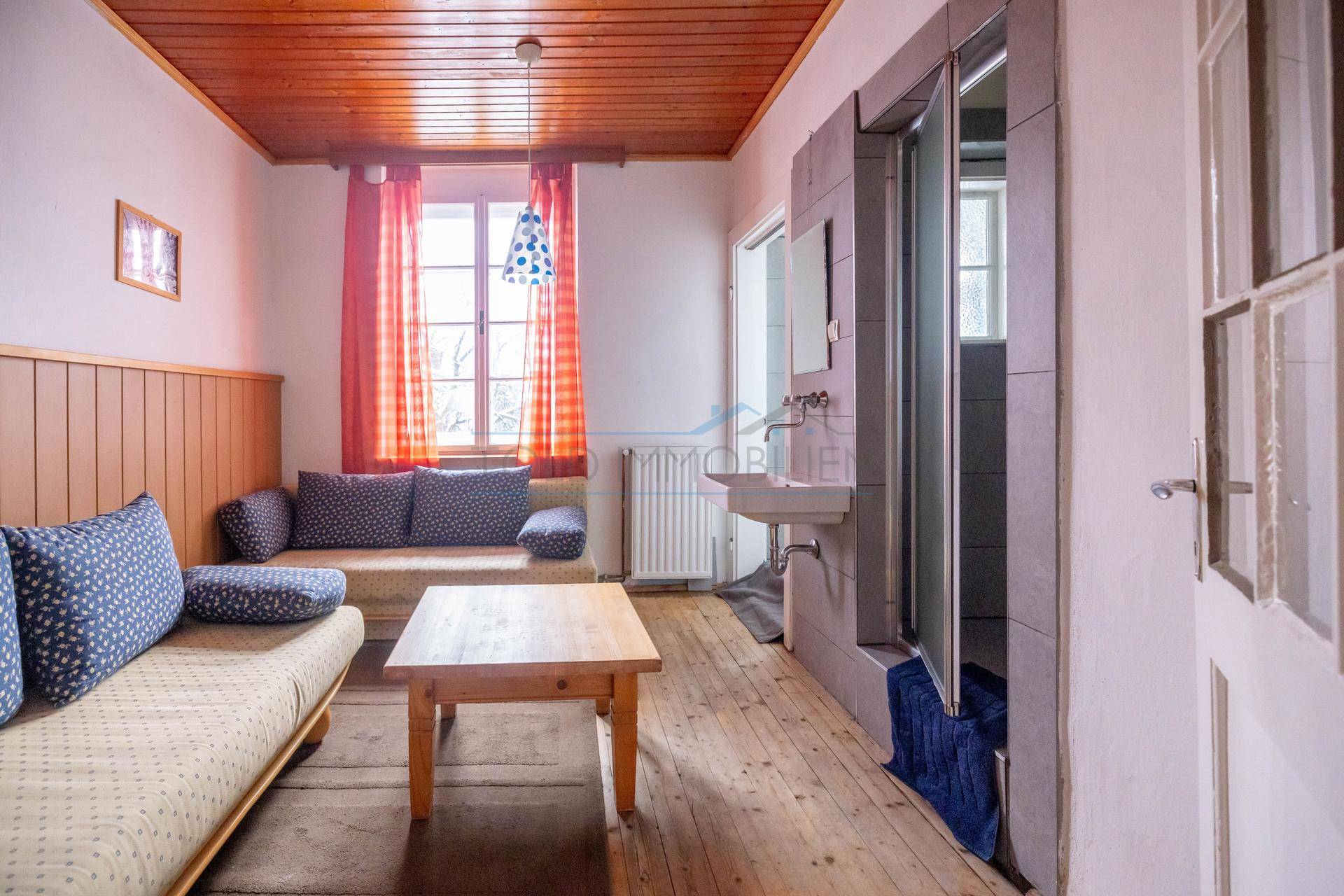 Wohnraum mit Holzdecke, bequemen Sofas und einem integrierten Waschbecken-Duschbereich, sehr praktisch.