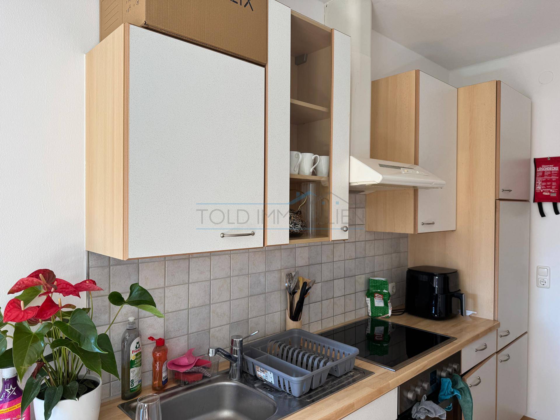 Funktionale Küche mit hellen Holzschränken, Spüle und Induktionskochfeld.