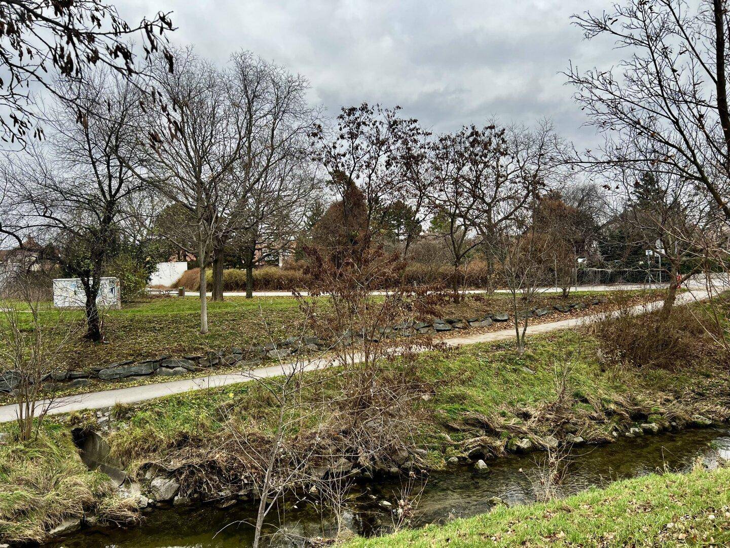 Natürliche Flusslandschaft mit Bäumen und grünem Ufer unter bewölktem Himmel.