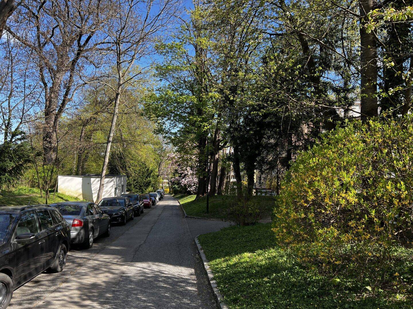 Außenbereich mit einem Weg, parkenden Autos und üppiger grüner Vegetation.