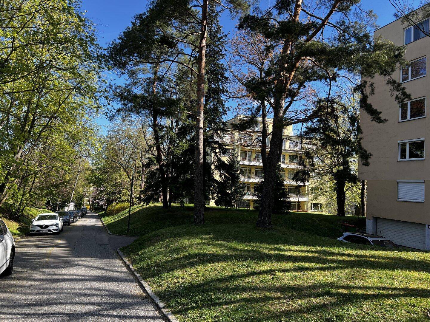 Außenansicht mit einem Weg, hohen Bäumen und einem Gebäude im Hintergrund.