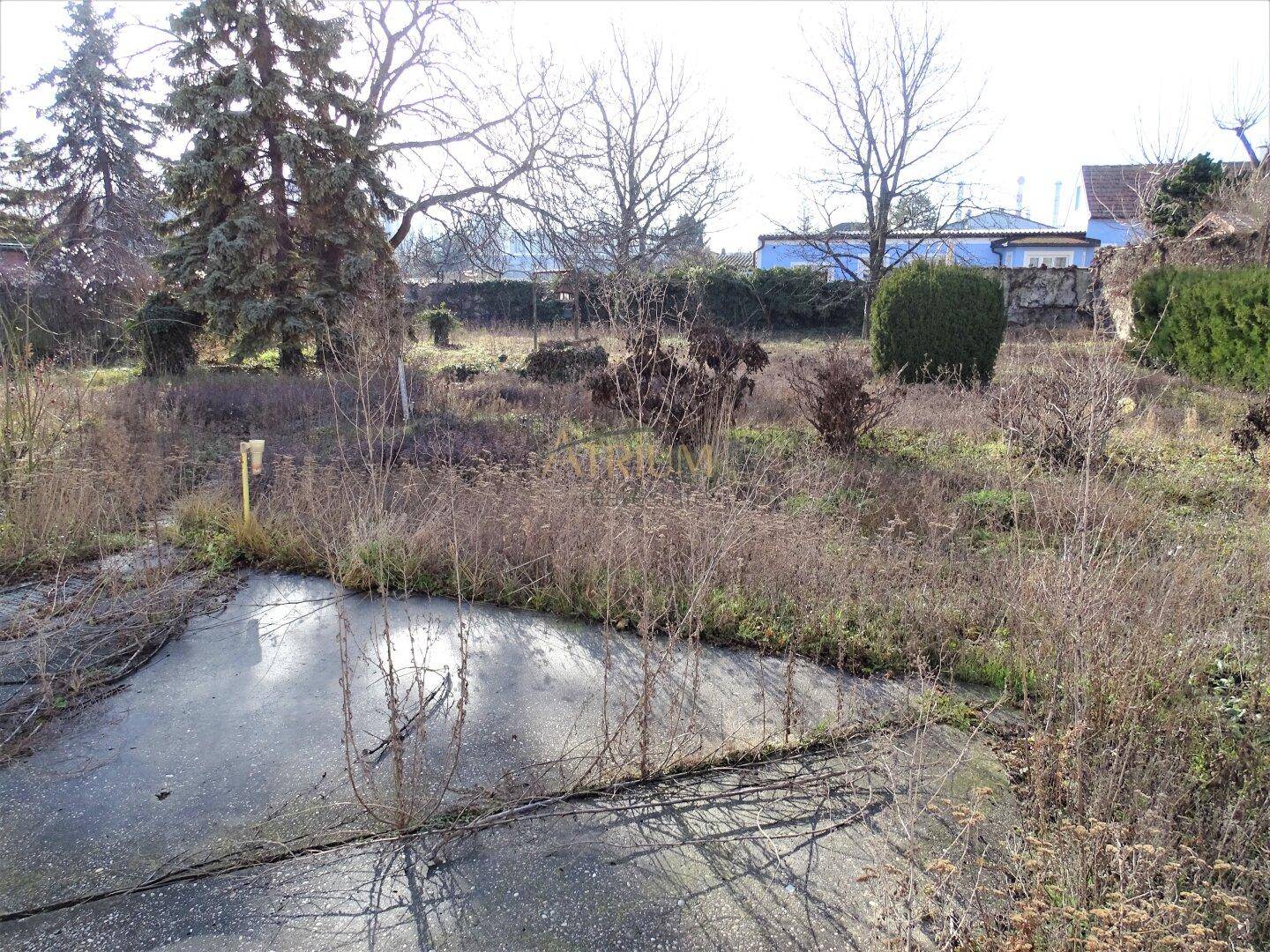 Sonniges Grundstück mit trockener Vegetation und einer alten Betonfläche im Vordergrund.
