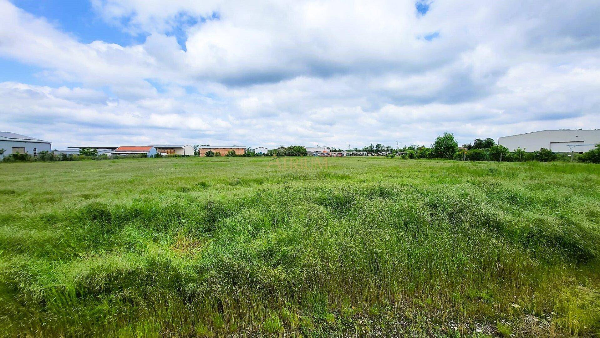 Offenes, grünes Feld mit hohem Gras und vereinzelten Gebäuden am Horizont unter blauem Himmel.