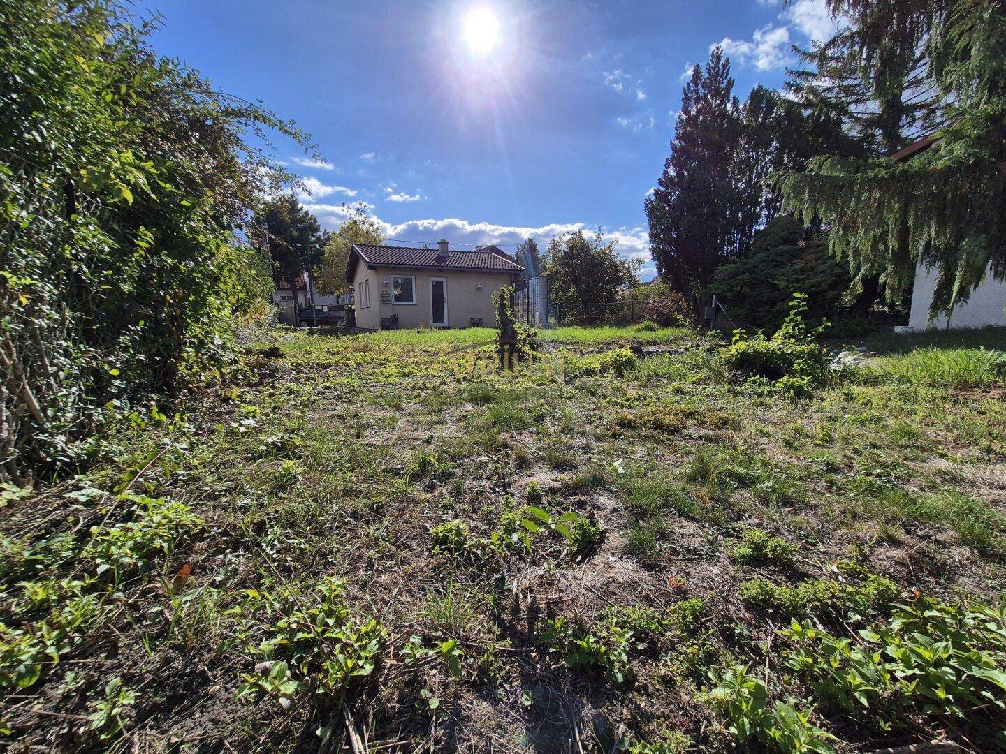 Sonniges Grundstück mit viel Grün und einem kleinen Haus im Hintergrund, ideal für Gartenliebhaber.