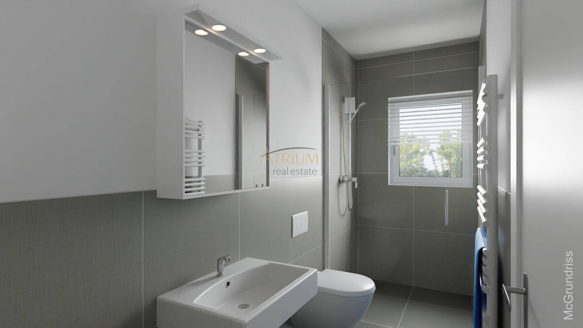 Modernes Badezimmer mit Einzelwaschbecken, Dusche, WC und Spiegelschrank.
