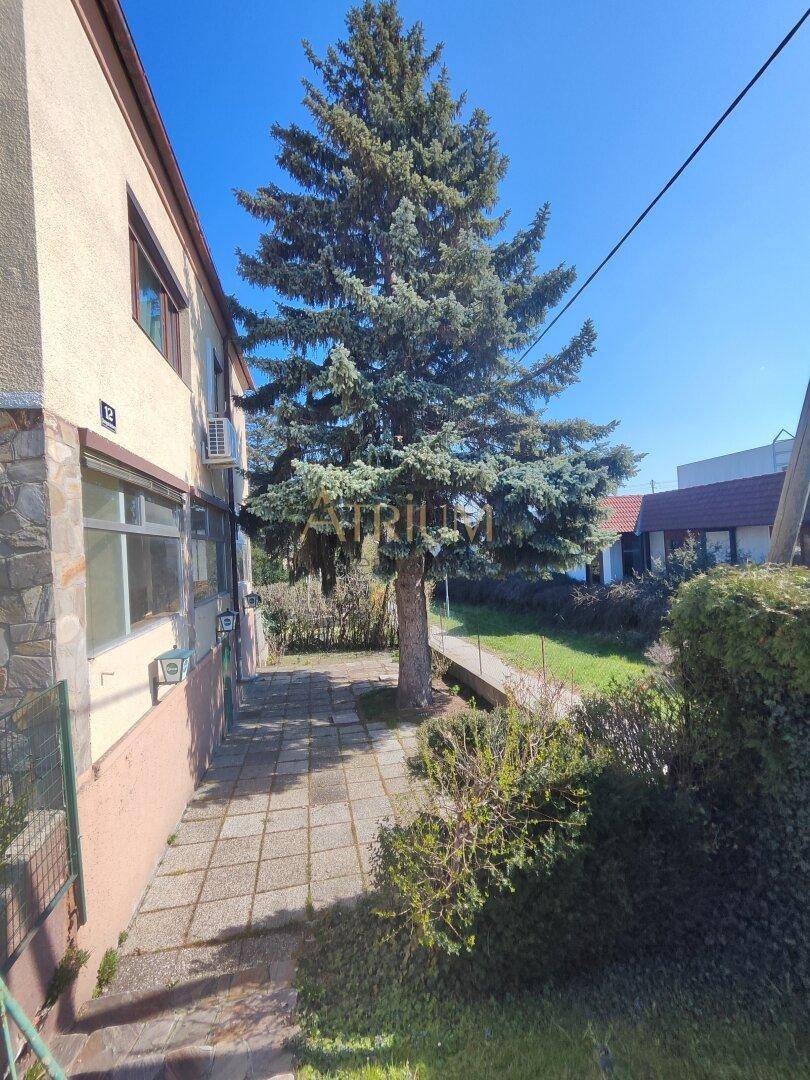 Seitenansicht des Gebäudes mit großem Nadelbaum, gepflastertem Weg und Grünfläche.