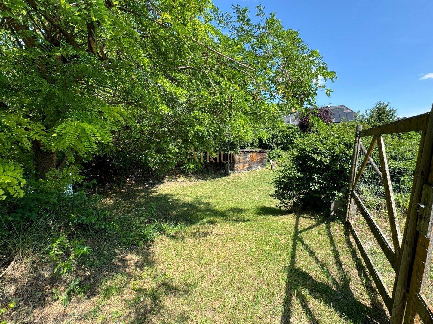 Sonniger Gartenbereich mit üppigem Grün, hohen Bäumen und einem Holztor am Rand des Grundstücks.