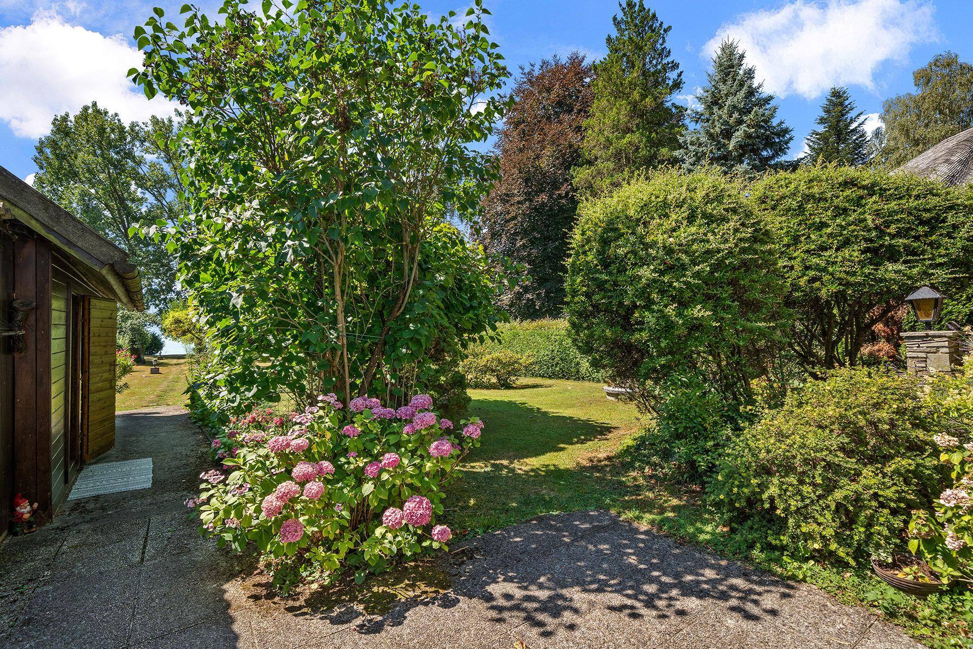 Gartenweg führt vorbei an blühenden Hortensien und einem kleinen Holzschuppen.