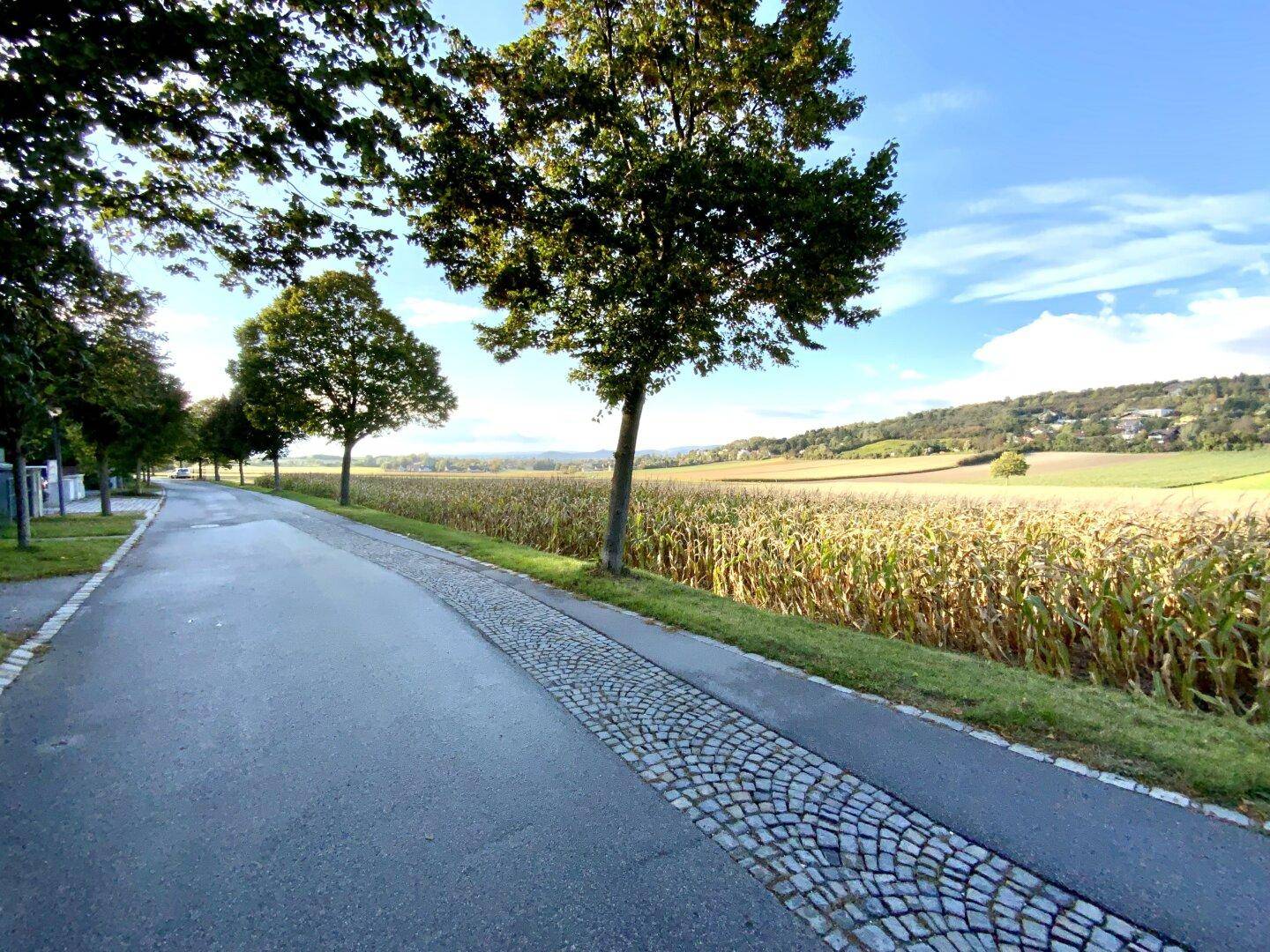 Zufahrt