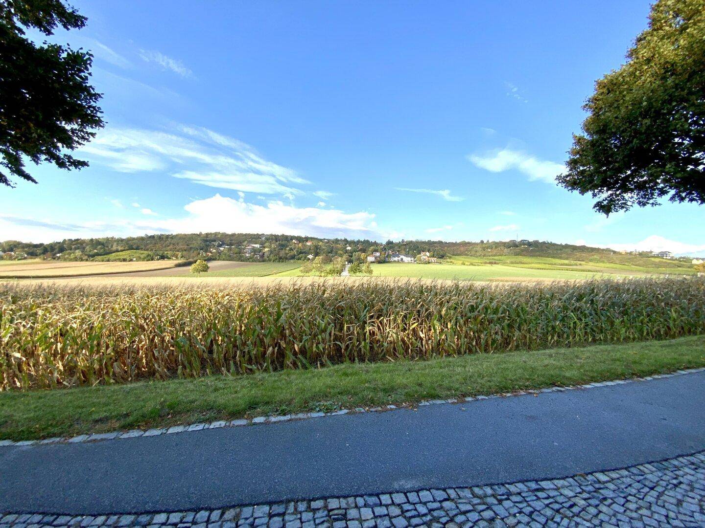 Zufahrt