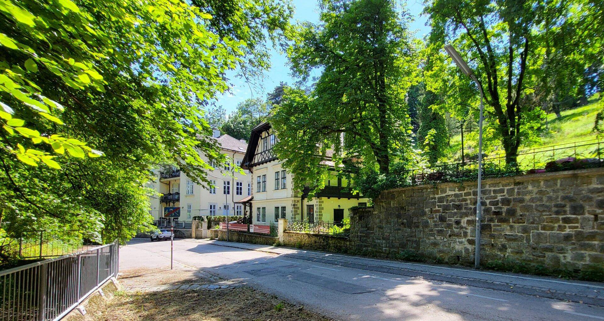 Historische Villa an einer von Bäumen gesäumten Straße, umgeben von üppigem Grün und einer Steinmauer.