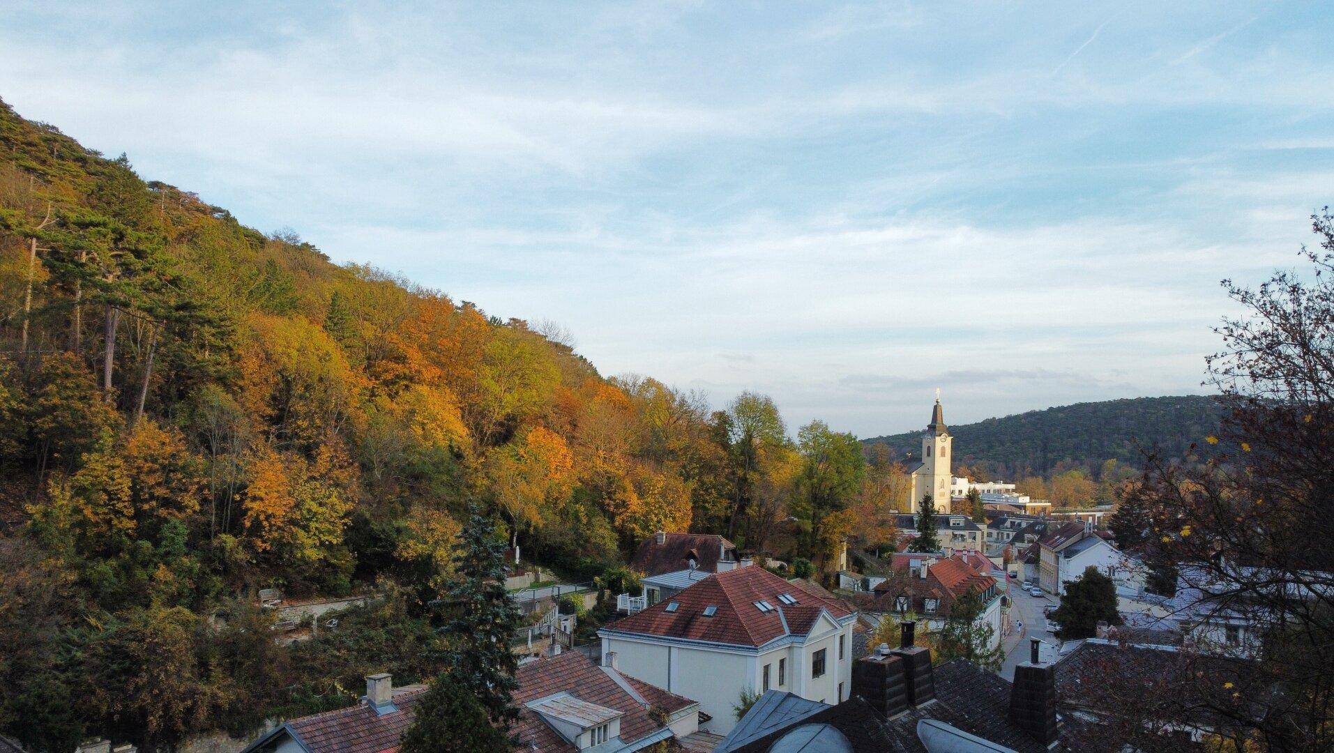 Panoramablick auf eine charmante Stadt am Fuße eines bewaldeten Hügels mit Herbstfarben und Kirchturm.