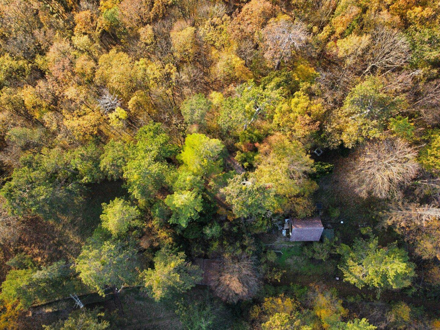 Unglaubliches und einmaliges Erholungsrefugium I Einzigartiges Jagdhäuschen auf Eigengrund nächst Lainzer Tiergarten! - Vista 3