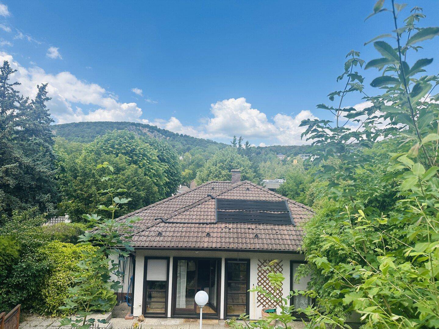 Sonniger Blick auf das Haus vom Garten aus, mit sichtbaren Solarpaneelen auf dem Dach.