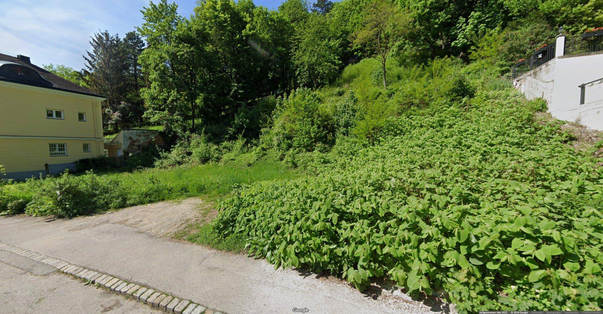 Unbebautes Grundstück mit üppiger Vegetation und angrenzendem Hang, bereit zur Entwicklung.