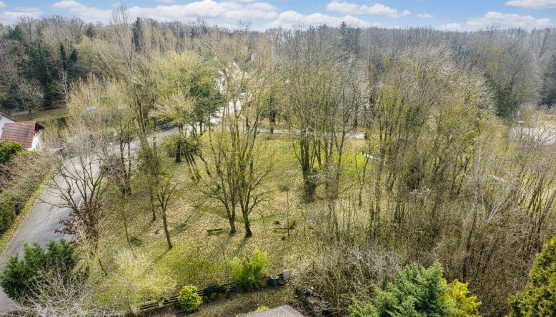 Luftaufnahme des weitläufigen Grundstücks mit umliegender Natur und vielen Bäumen in ländlicher Umgebung.