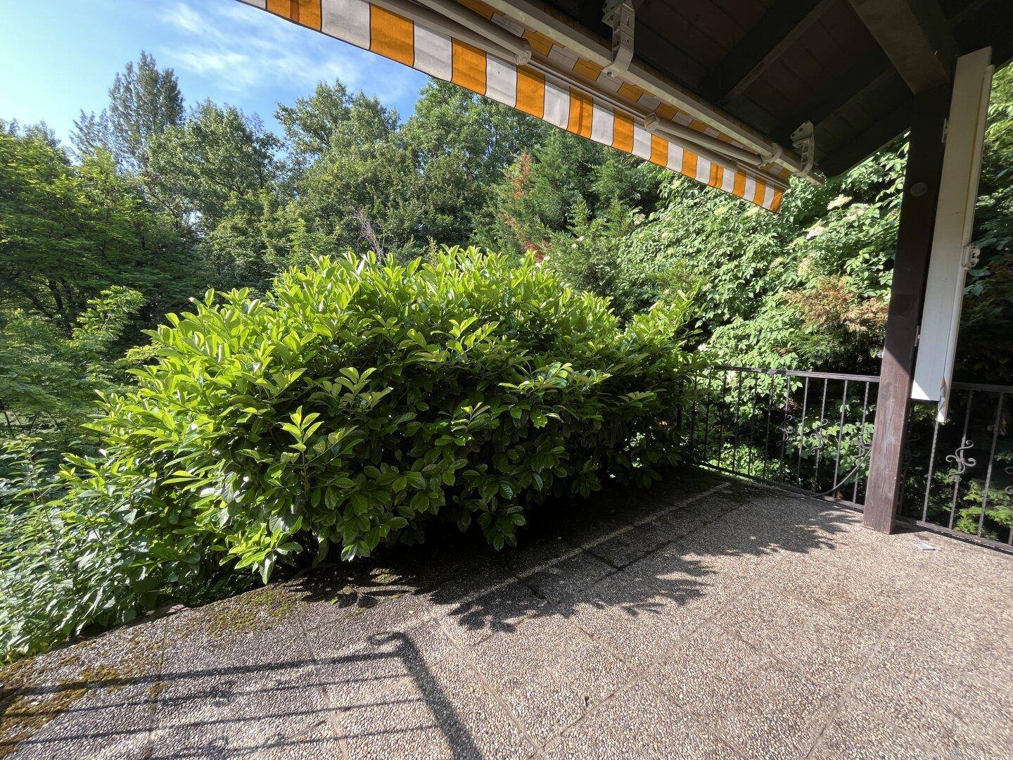 Sonniger Terrassenbereich mit üppiger Vegetation, Markise und Blick ins Grüne.