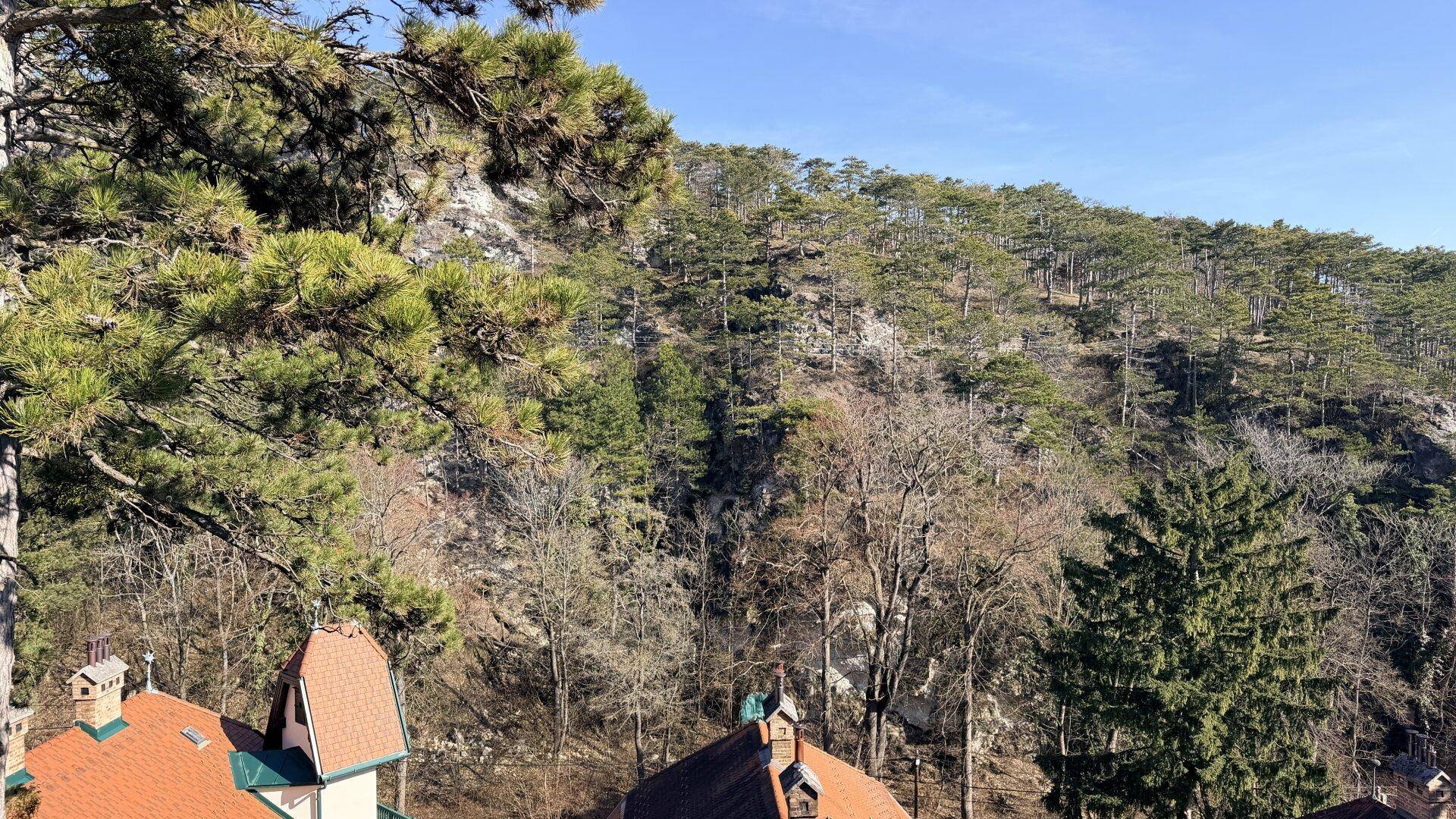 Panoramablick auf bewaldete Hügel und Dächer von Häusern unter blauem Himmel.